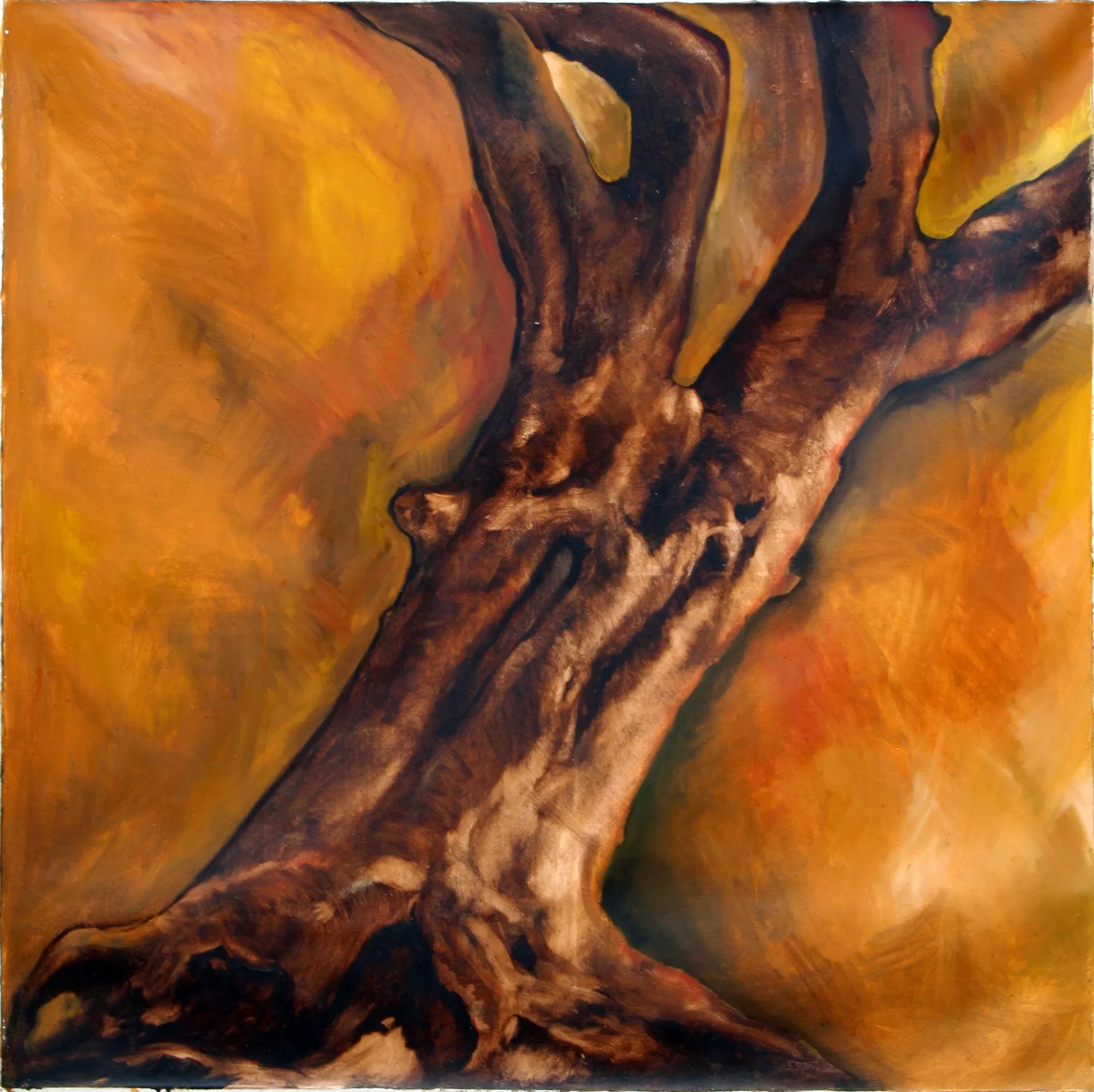 Paintings & Canvas Works — Muhsana